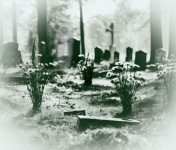 Graveyard Ghost Of A Person