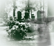 Graveyard Ghost Of A Person