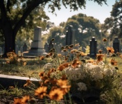 Autumn Season Graveyard