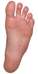 Left Foot Transparent