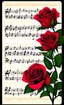 Melody Of The Roses