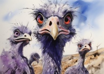 Ostrich Illustration Art