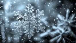 Snowflake Ice Crystal Background