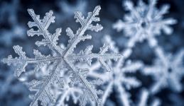 Snowflakes Christmas Texture