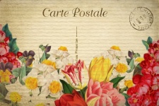 Vintage Floral Postcard Art