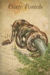 Vintage Art Boa Snake