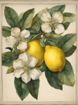 Vintage Lemons And Blossom