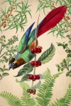 Vintage Tropical Bird Illustration
