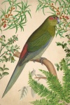 Vintage Bird Parrot Art