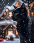Christmas Black Cat Kitten