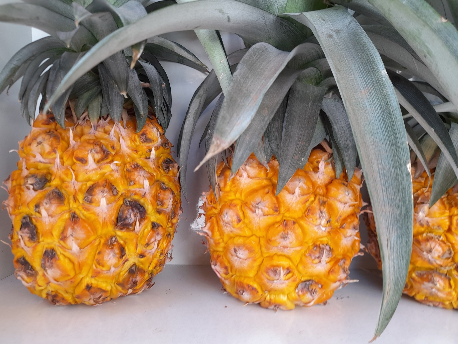 Pineapples On Shelf