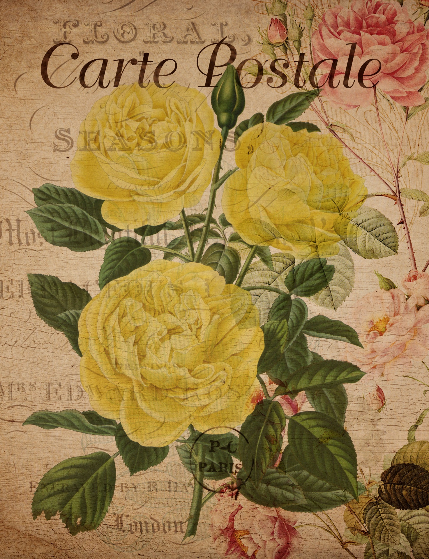 Vintage Roses Floral Postcard