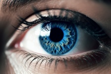 Blue Eye Closeup