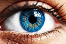 Blue Eye Closeup