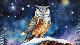 Owl Christmas Landscape