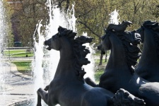 Four Horse Fountain With Wild Horse