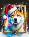 Dog, Akita, Christmas Day
