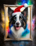 Dog, Border Collie, Christmas Day