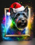 Dog, Cairn Terrier, Christmas Day