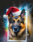 Dog, German Shepherd, Christmas Day