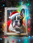 Dog, French Bulldog, Christmas Day