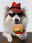 Dog, Pet, Hamburger
