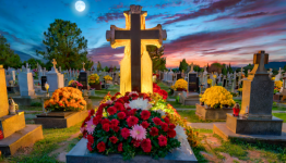 Cemetery, All Souls Day, Chrysanthemums