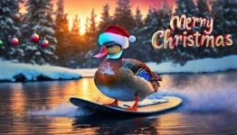 Christmas Card, Duck, Wakeboard