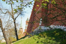 Kremlin Wall Behind Spring Branches