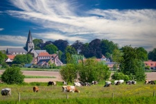 Landscape, Church, Countryside, Meadow