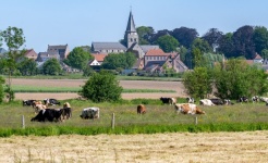Landscape, Church, Countryside, Meadow