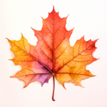 Maple Leaf Texture Isolated