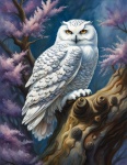 Snowy Owl Art Illustration