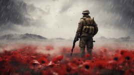 Soldier In A Poppy Field