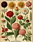 Vintage Flowers Catalog Poster