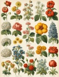 Vintage Flowers Catalog Poster