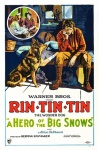 Vintage Rin-Tin-Tin Poster
