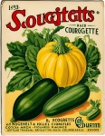 Vintage Seed Packet Zucchini