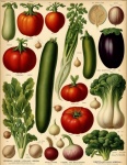 Vintage Vegetables Catalog Poster