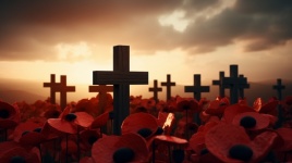 Wooden Crosses And Poppy Flowers