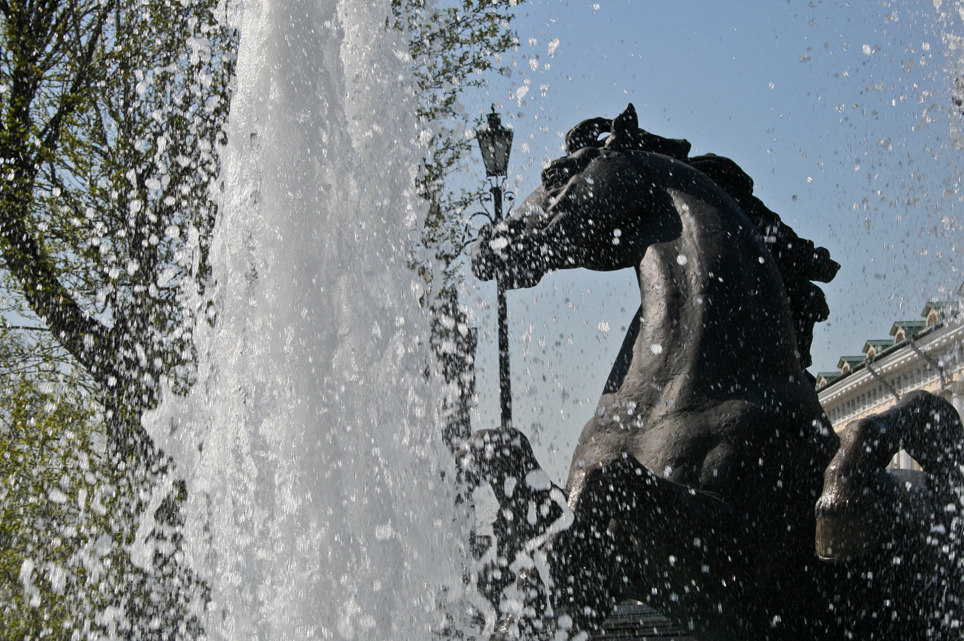 Four Horses Fountain With Water Free Stock Photo Public Domain Pictures