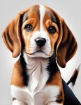 Beagle Dog Animal Illustration