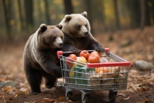 Bears Grocery Shopping Humorous
