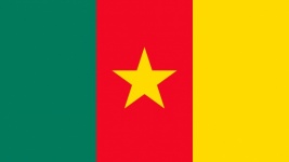 Cameroon National Flag - Illustration