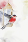 Winter Lantern Bird Art Print
