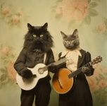 Black Cat Guitar Music Art