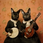 Black Cat Guitar Music Art