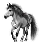 Black And White Horse Drawing PNG