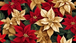 Poinsettia Christmas Background
