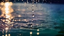 Raindrops Of Water Drops